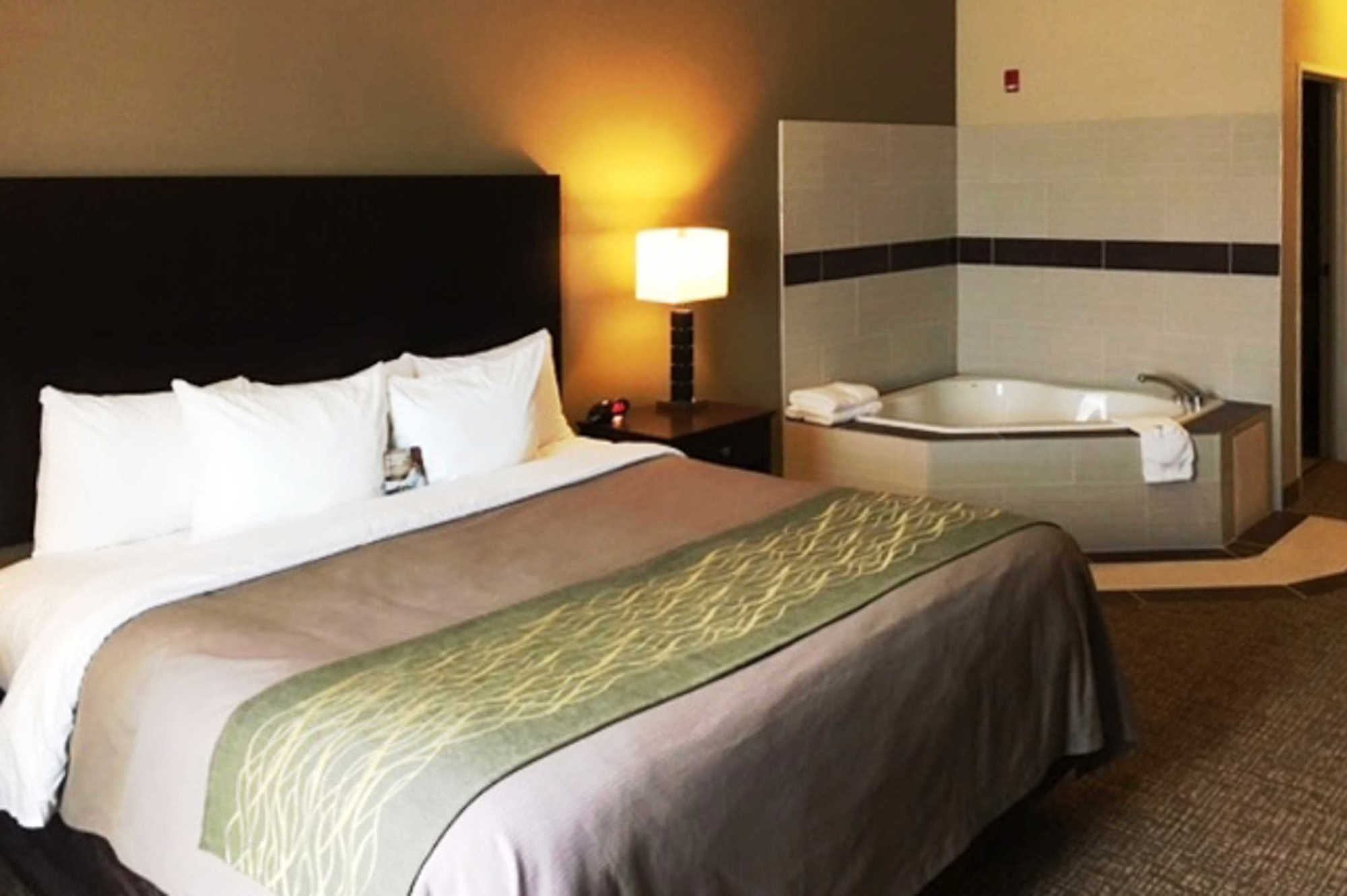 Comfort Inn&suites Near Indiana Dunes Hotel Porter