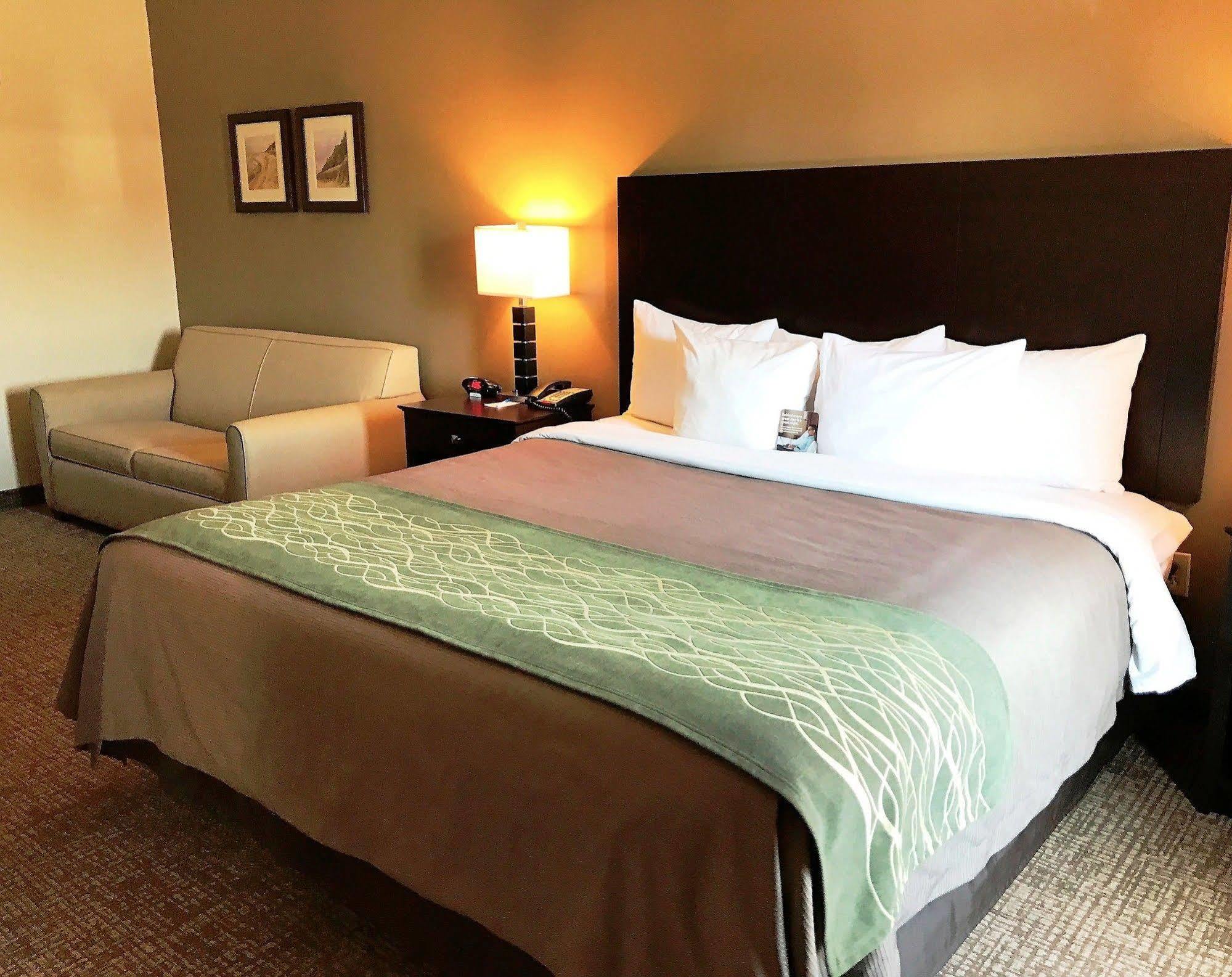 Comfort Inn&suites Near Indiana Dunes Hotel Porter