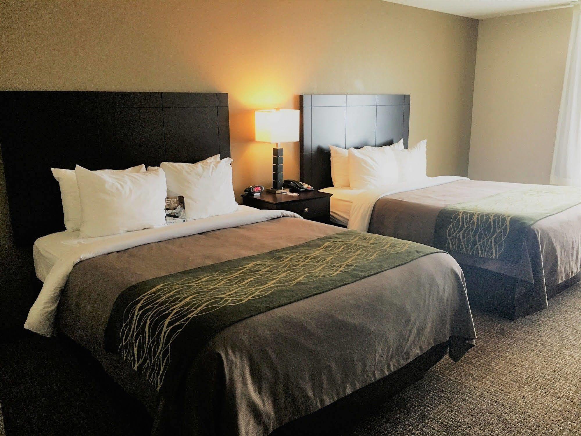 Comfort Inn&suites Near Indiana Dunes Hotel 2*