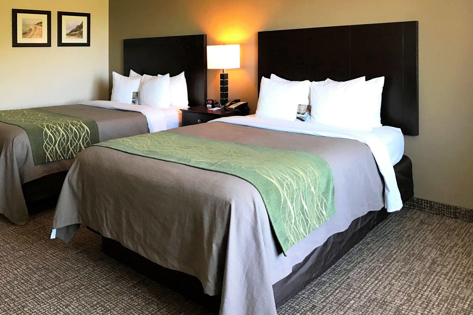Comfort Inn&suites Near Indiana Dunes 2* Porter