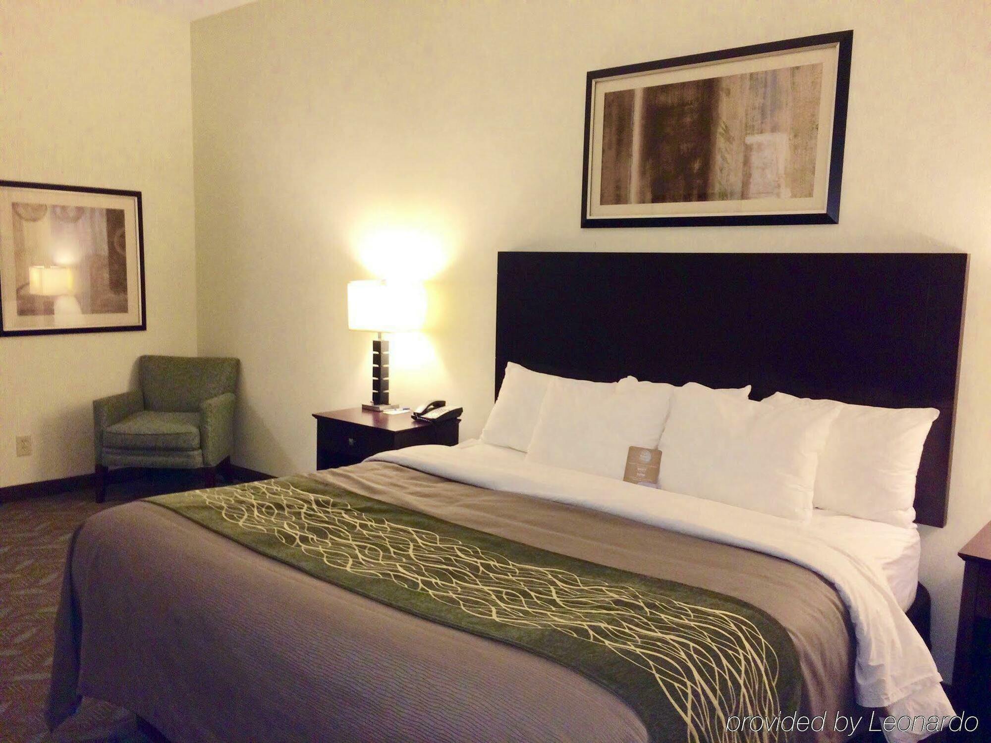 Hotel Comfort Inn&suites Near Indiana Dunes Porter