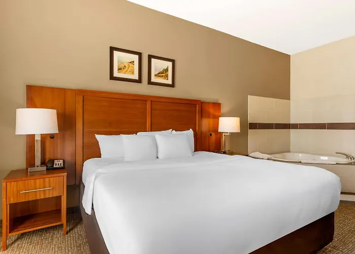 Comfort Inn & Suites Near Indiana Dunes State Park