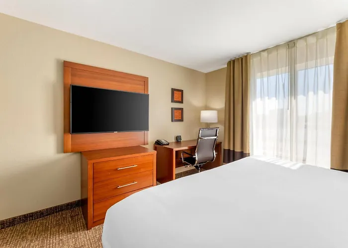 Comfort Inn & Suites Near Indiana Dunes State Park