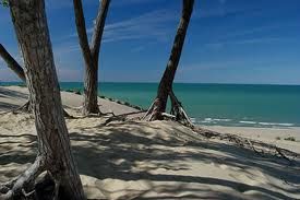 Comfort & Near Indiana Dunes Porter