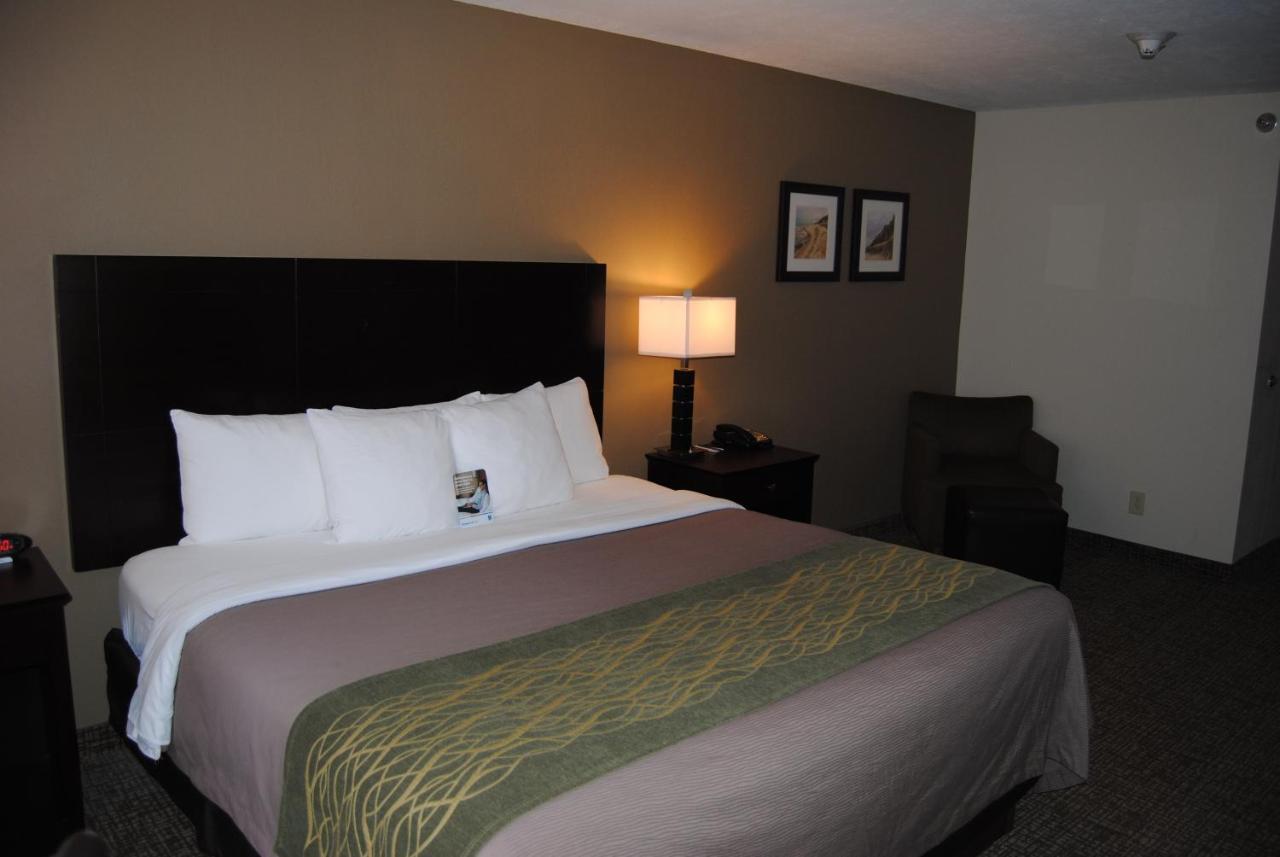 Comfort & Near Indiana Dunes Hotel Porter